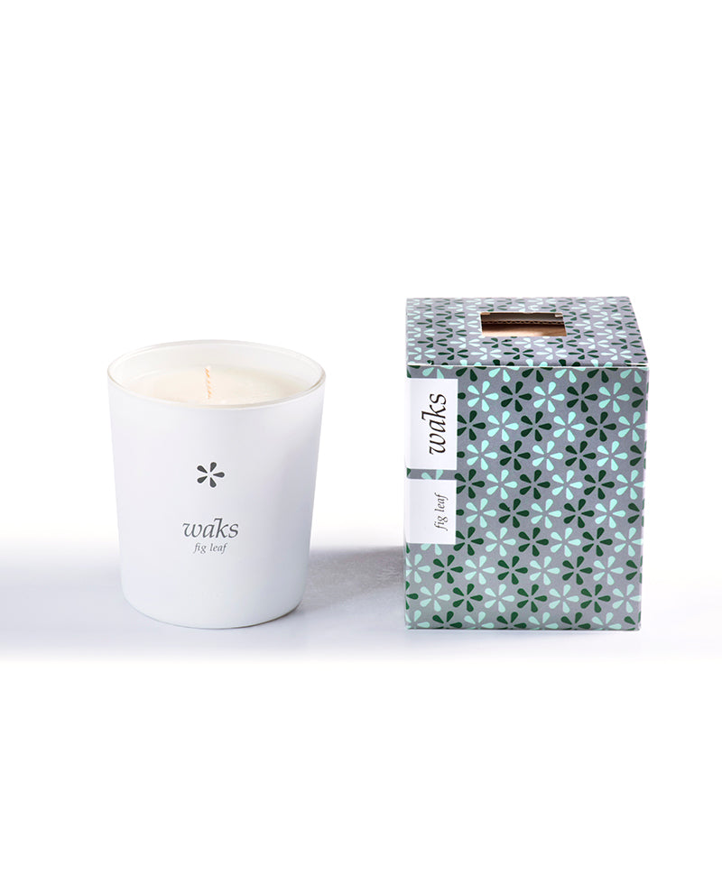 Original / Fig Leaf candle